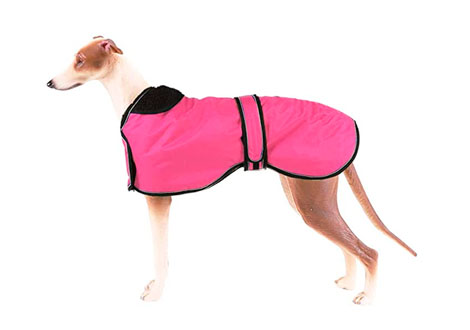 Chaleco impermeable para galgo