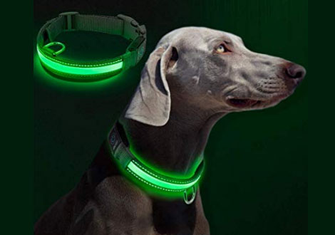 Collar LED intermitente para perros