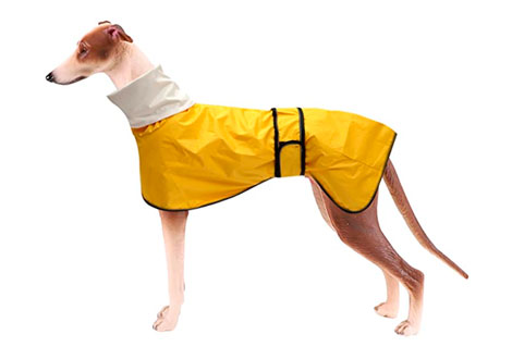 Chaleco impermeable para galgo